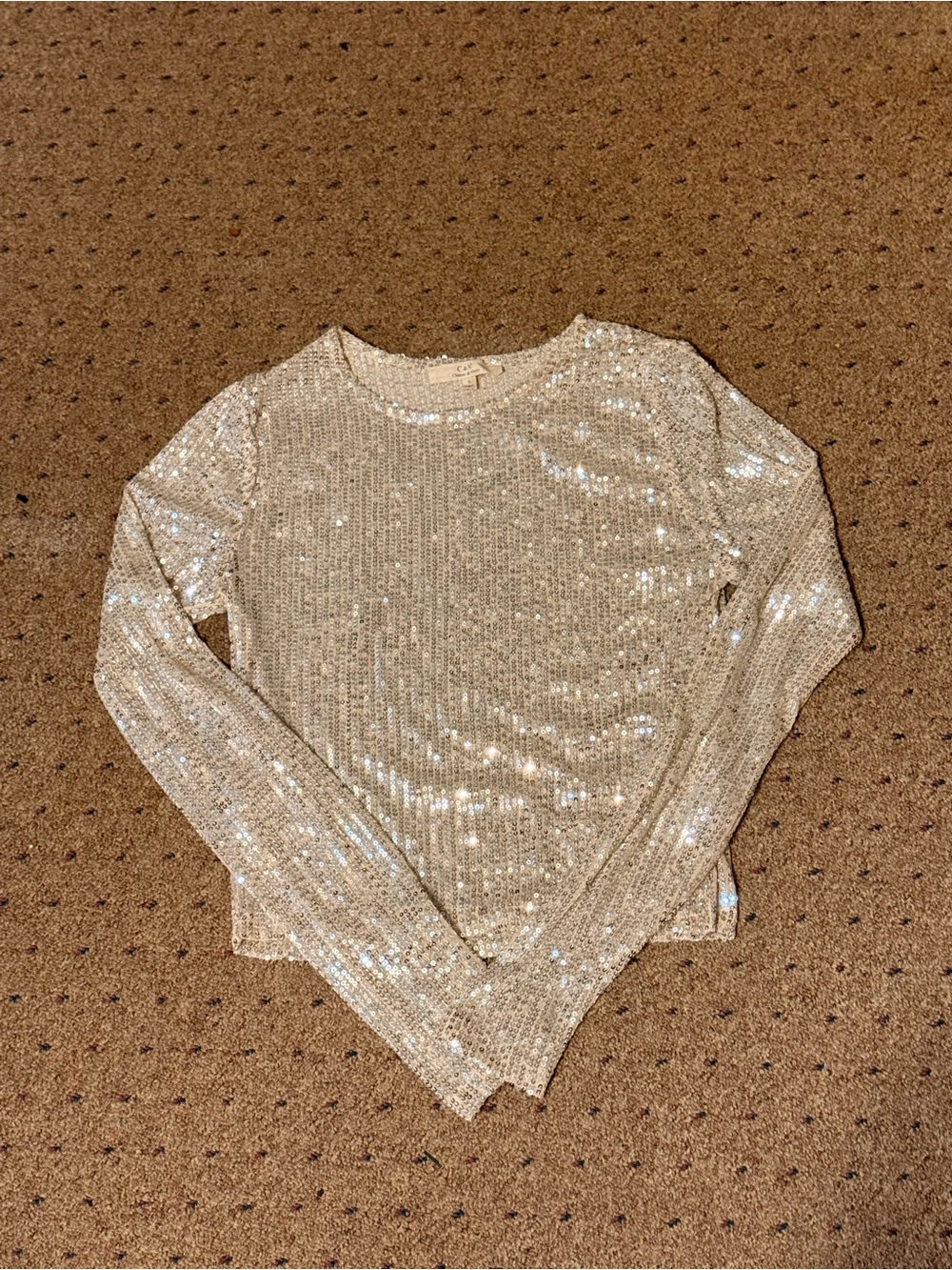 Sequin Long Sleeve Top in Champagne